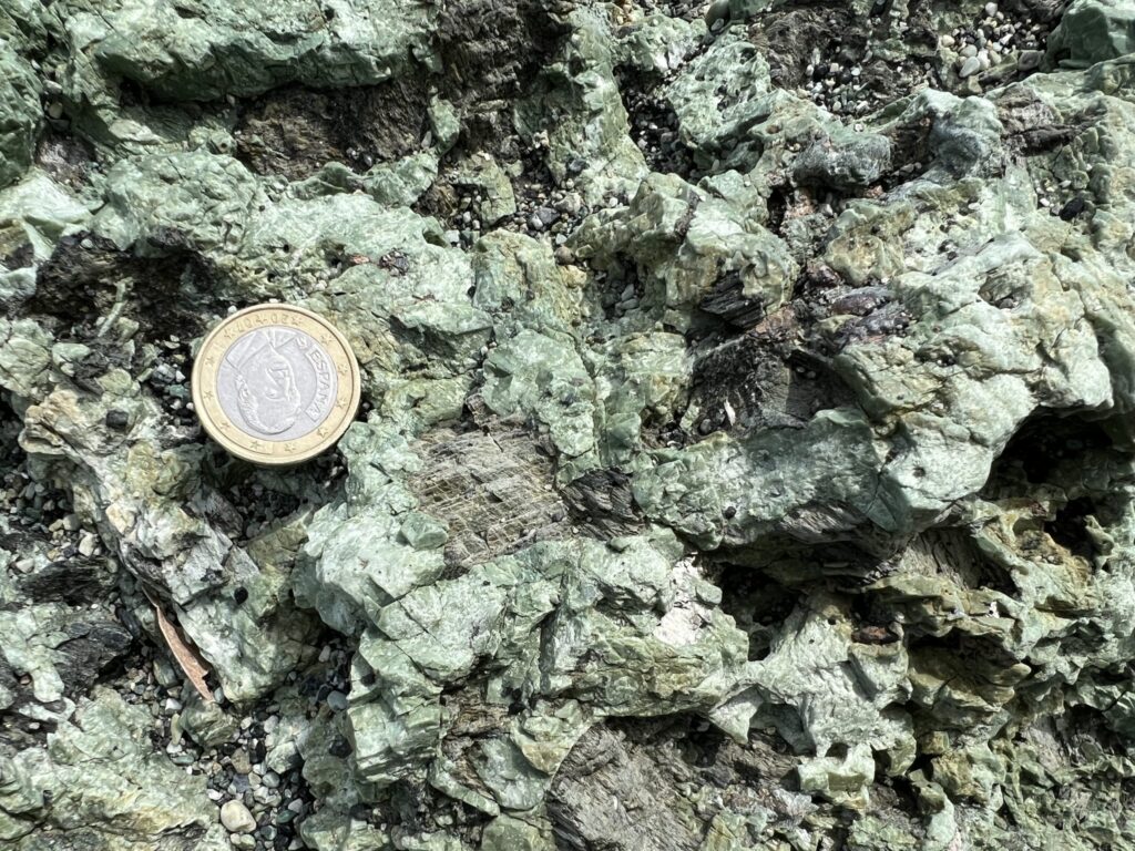 GABBRI BONASSOLA