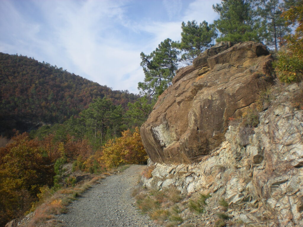 DSCN5633