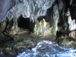 DSCN6332