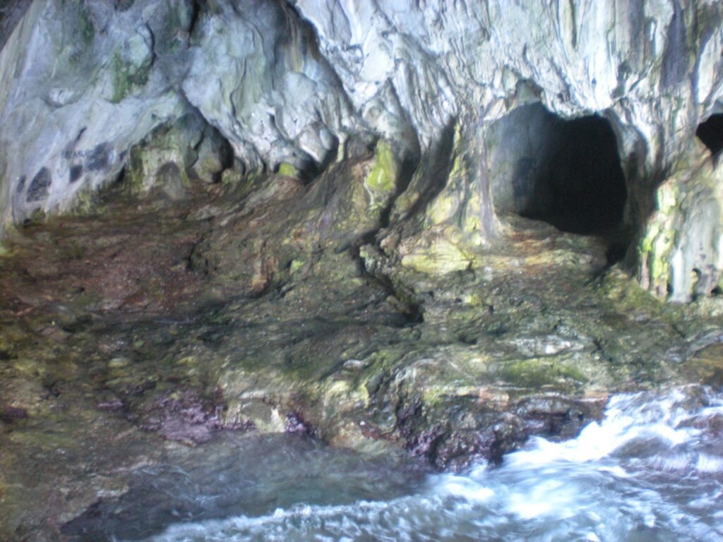 DSCN6340