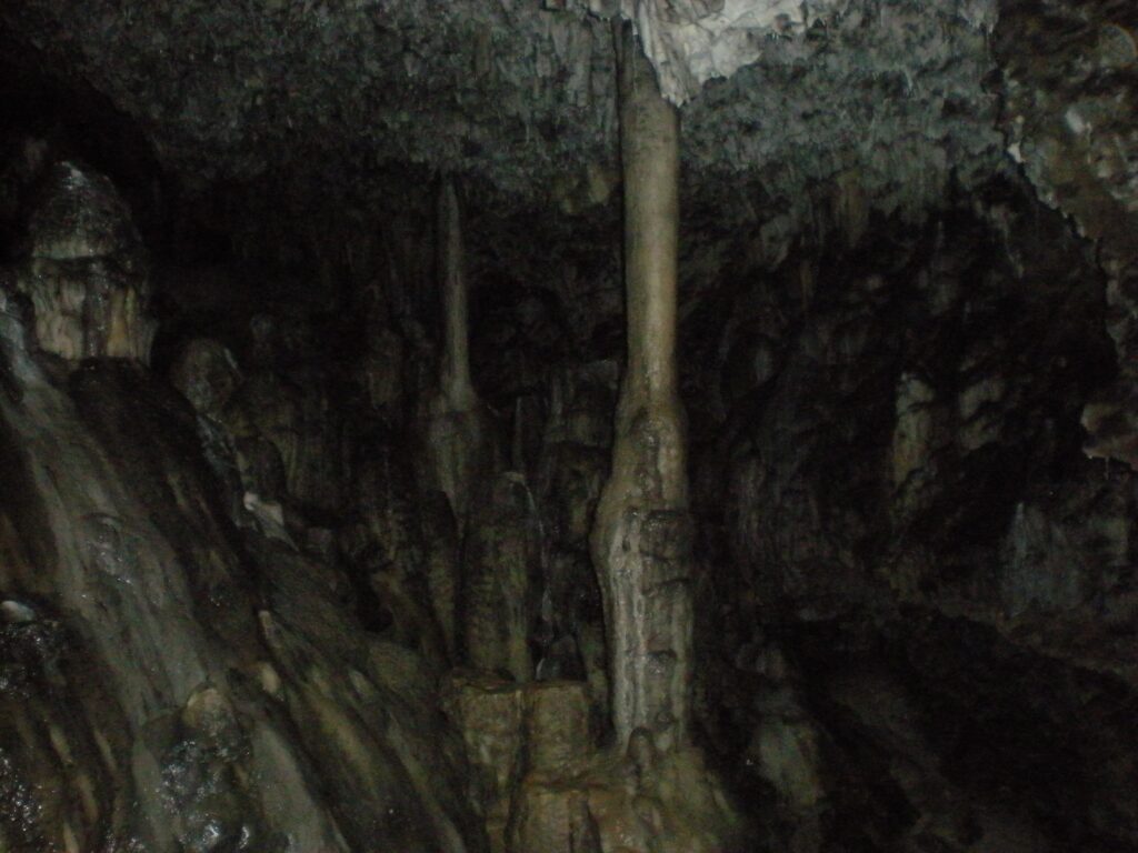 DSCN6362