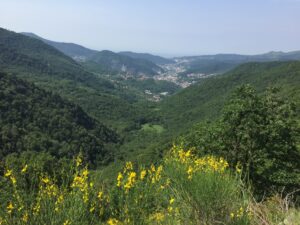 IMG_2780
