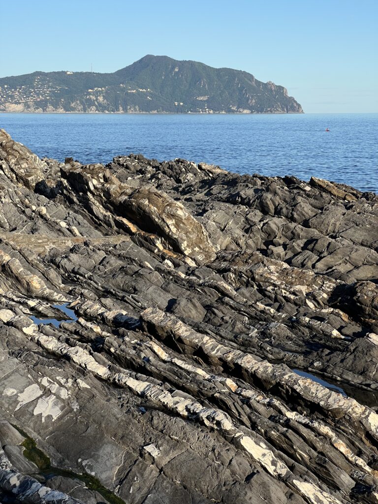 Calcari Antola Flysch scogliera Nervi 1