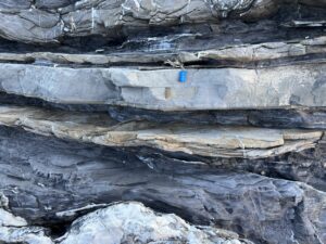Calcari Antola Flysch scogliera Nervi 1
