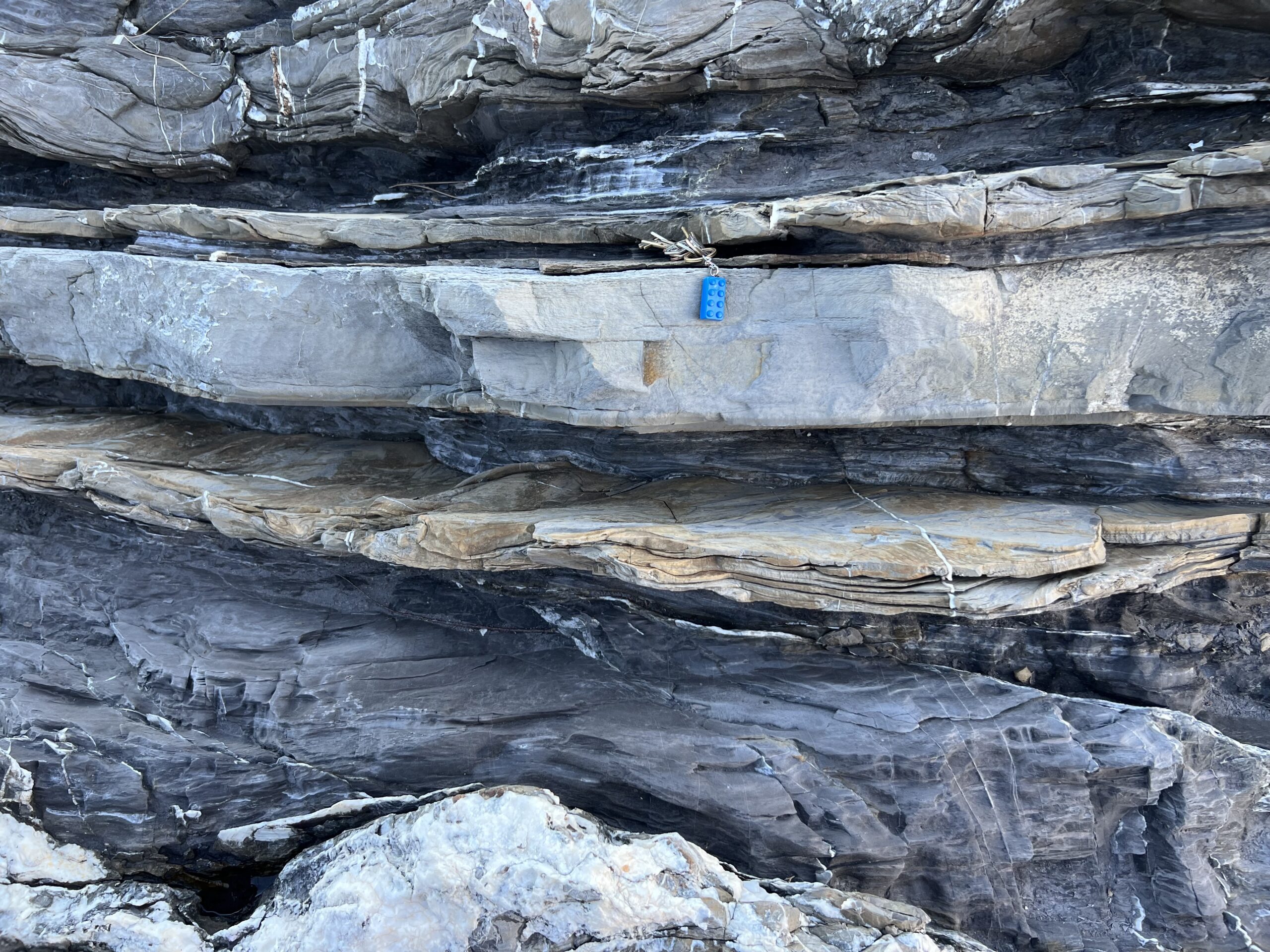 Calcari Antola Flysch scogliera Nervi 1