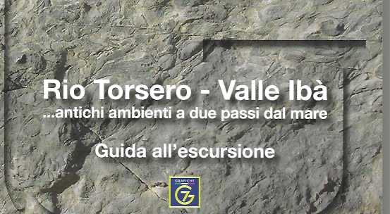 TITOLO itinerario geologico RIO TORSERO