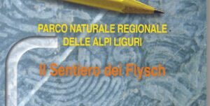 TITOLO itinerario geologico SENTIERO DEI FLYSCH