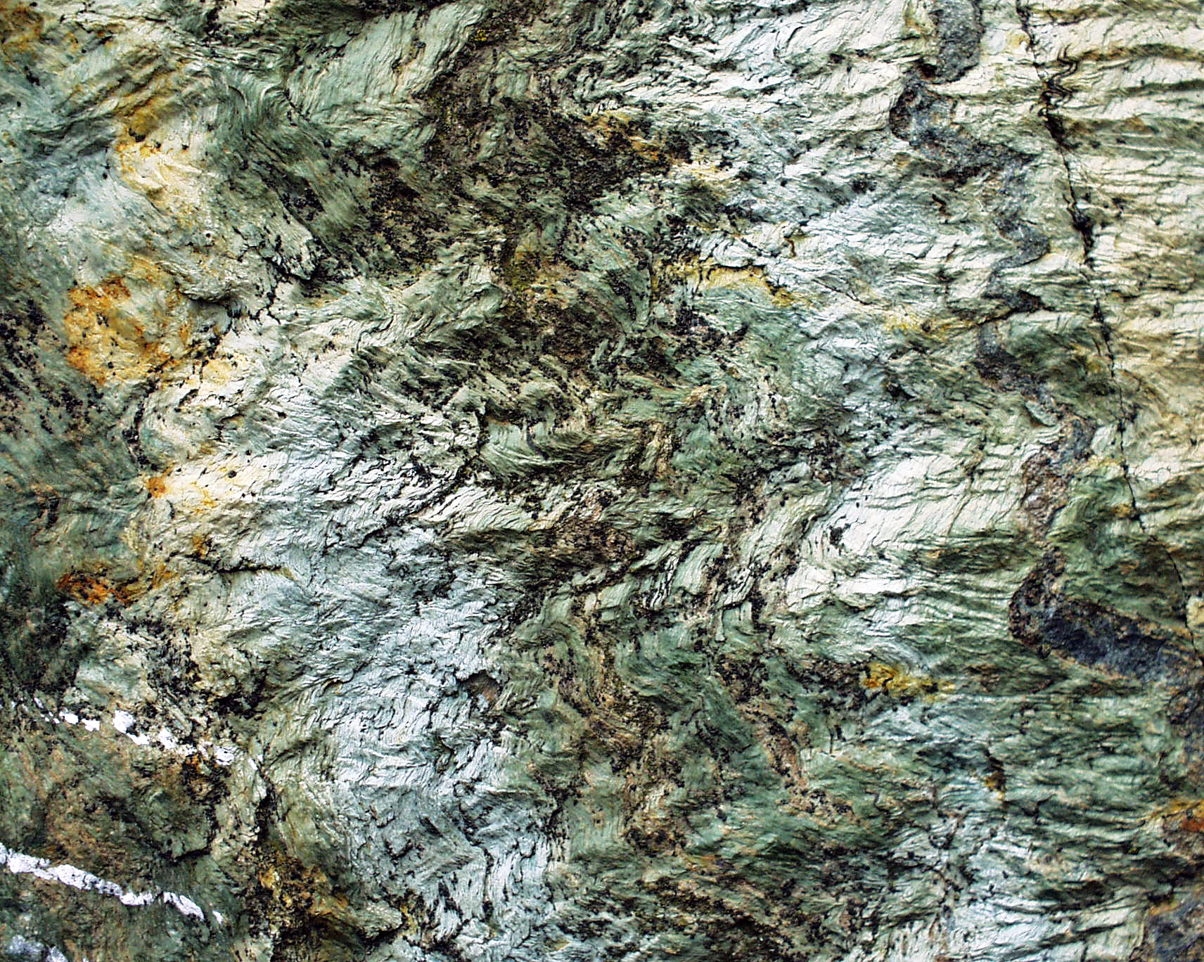 Dettaglio pieghe in serpentinoscisti. San Pietro D'Orba (2013) Photo Cristiano Queirolo